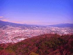 140304_gotenba_frm_kanuki.gif