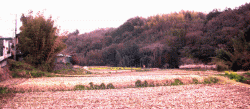 140304_misima_hatsunedai.gif