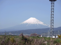 140326_fuji_san11.gif