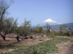 140326_fuji_san21.gif