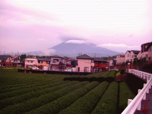 150918_mt_fuji.gif