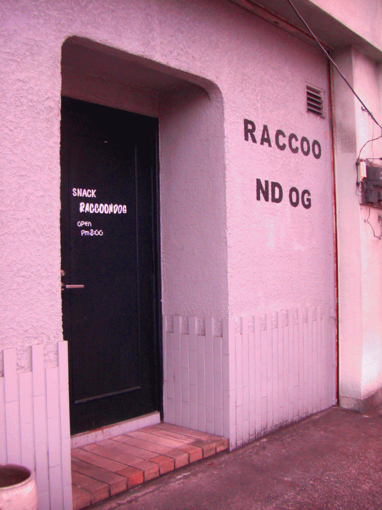 racoo-nd-og