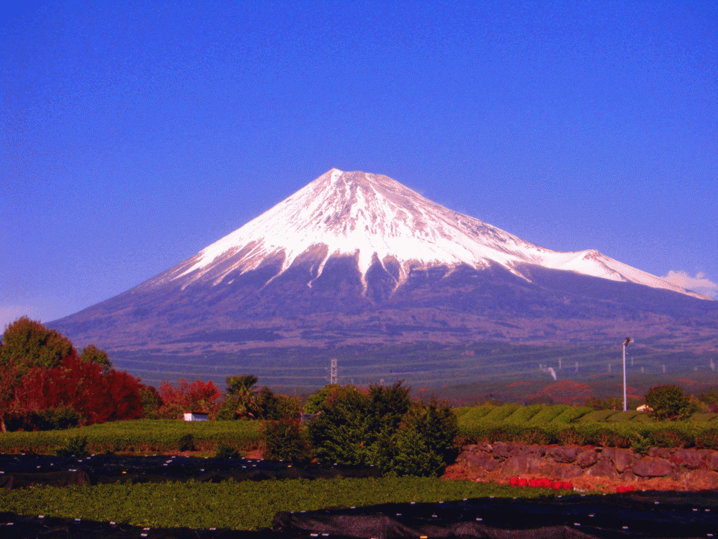 富士山