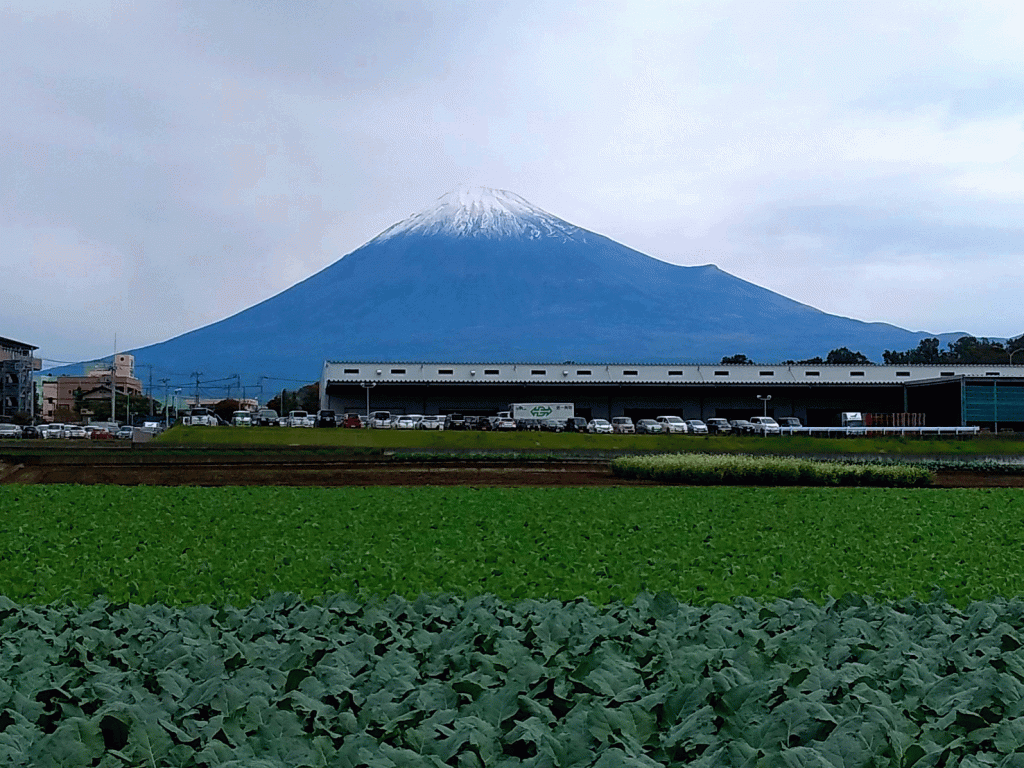 201019_mt_fuji