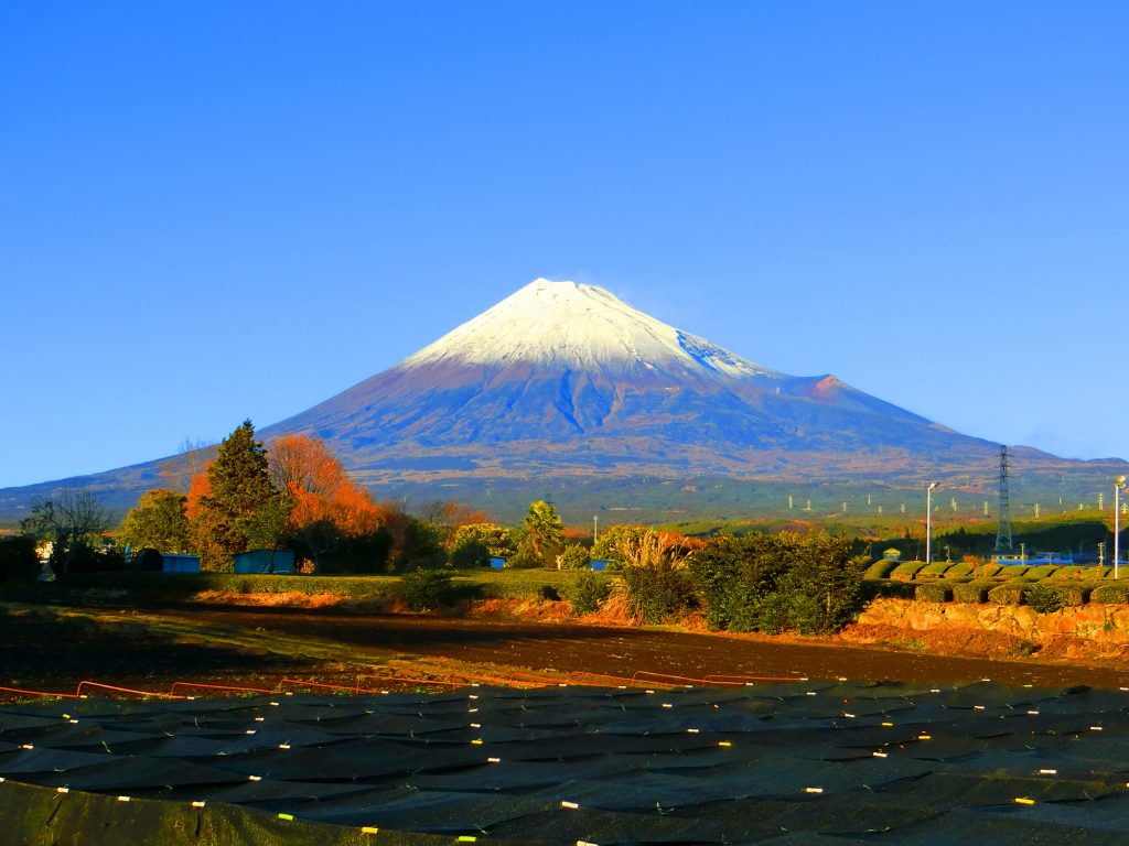 mt_fuji_20123003