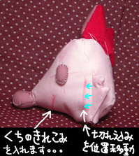 1206039_c_type.JPG