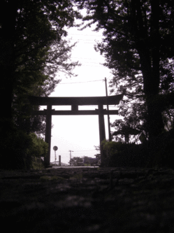 imamiya_sengen_torii_1309.gif