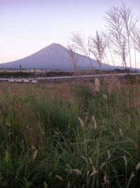 131012_fuji.gif