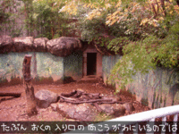 edo_zoo_02.gif