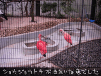 edo_zoo_05.gif