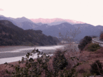 14010606_fujikawa.gif