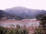 14010607_fujikawa.gif