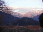 14010608_fujikawa.gif