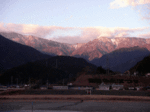 14010611_fujikawa.gif