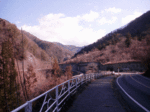 14010625_motos_road.gif