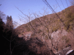 14010626_motos_road.gif