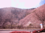 14010633_motosu.gif