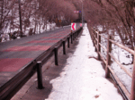 14010636_hodou.gif