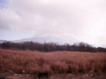 14010637_fuji.gif