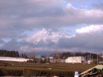 14010639_fuji.gif